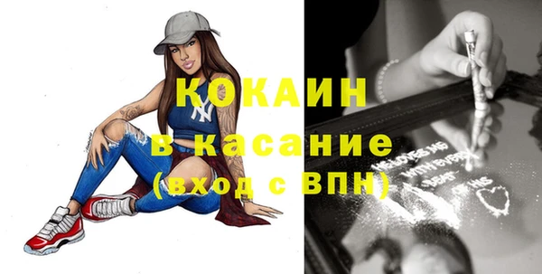 прущие грибы Абинск