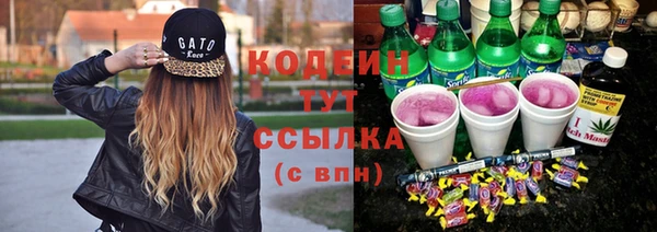 крисы Абаза